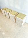 Coquina Coral Stone & Brass Coffee Table Base - Rehaus