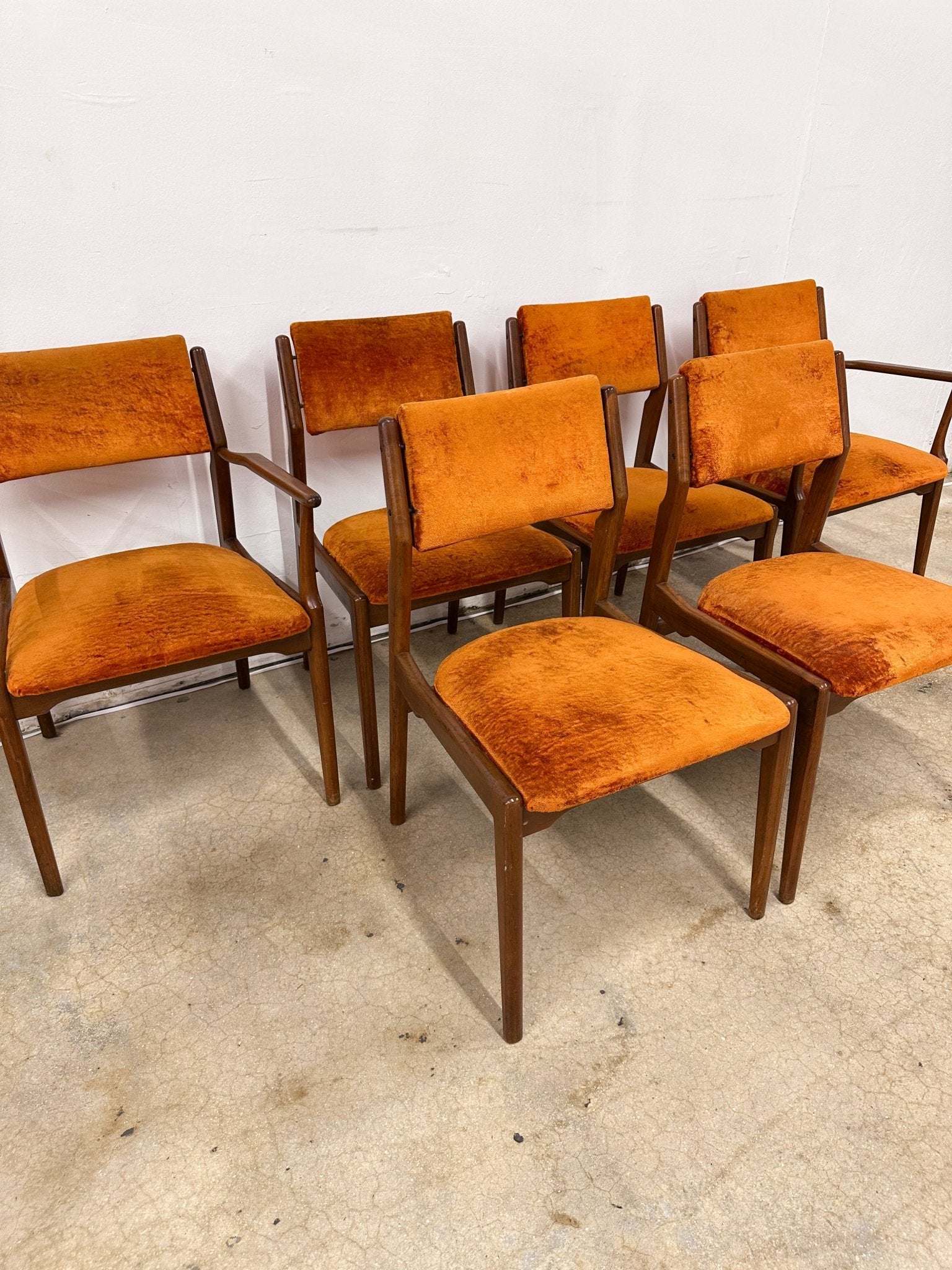 Midcentury Orange Velvet Dining Chairs (x6) - Rehaus