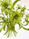 Painted Floral Tole Chandelier - Rehaus