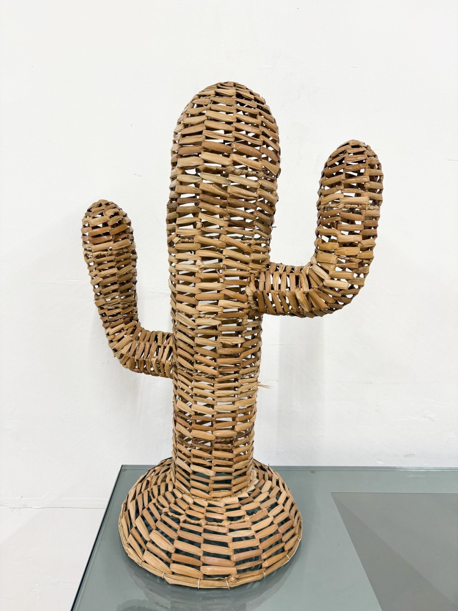Seagrass Cactus - Rehaus